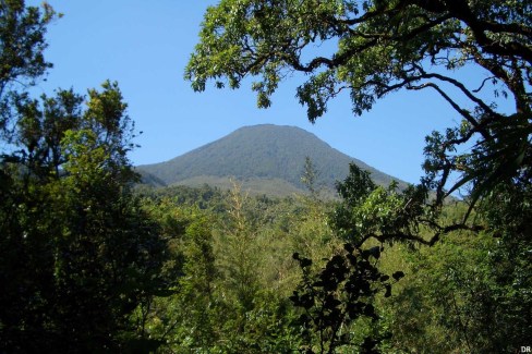 Bwindi Impenetrable National Park (Uganda)