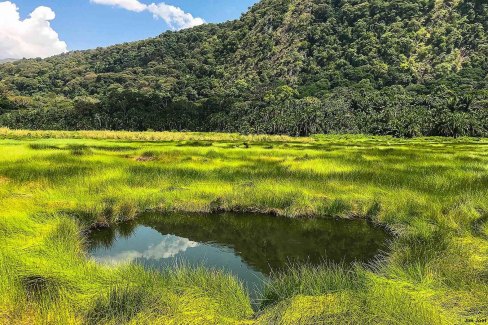 Jim-Joel-Flat_lash_plains_of_semiliki_national_park-web