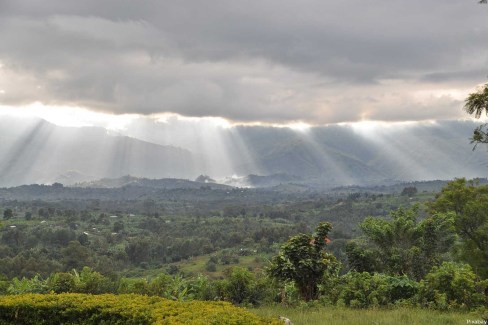 Rayons-de-soleil-percant-sur-rwenzori-Pixabay-web