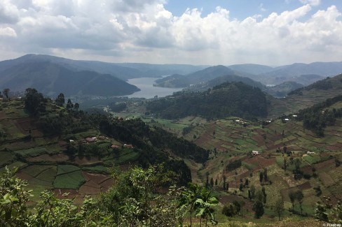 Le lac Bunyinyi est l'endroit idéal pour observer les oiseaux en Ouganda