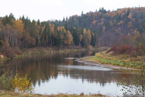 Rivière Gauja à Sigulda sous les couleurs de l'automne  en Lettonie