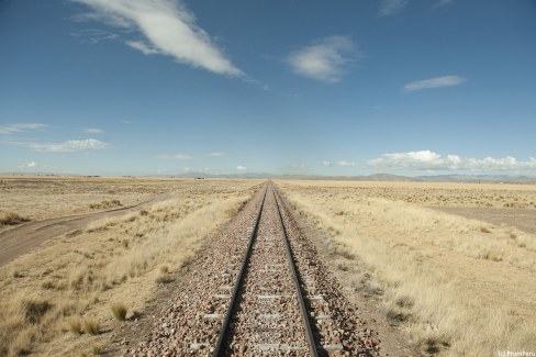 Paysages de l'Altiplano depuis le train des Andes reliant Puno Cusco