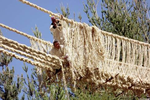 Les-habitants-en-action-pour-reconstruire-le-dernier-pont-Inca