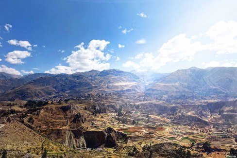 Pérou - Canyon de Colca