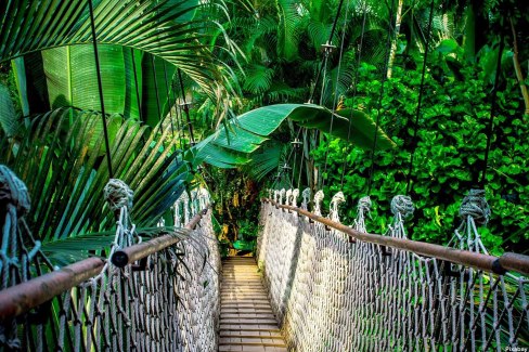 Pérou - Pont suspendu en Amazonie