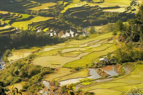 Rizieres-Banaue-FDH-web