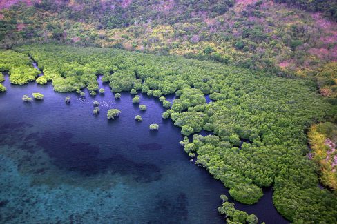 Vue aérienne des côtes de l'île de Palawan