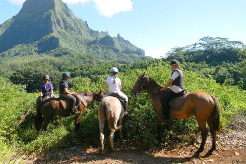 Moorea-cheval-credit-Tekura