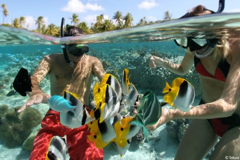 Tahiti-Snorkeling-cote-est-Tekura