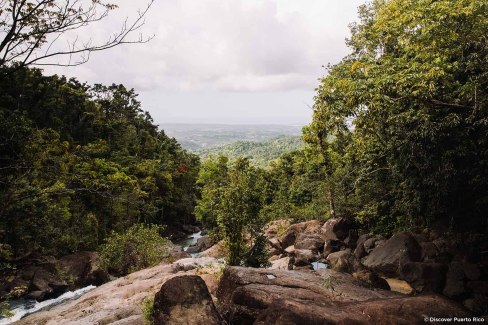 Rivière traversant la forêt d'El Yunque