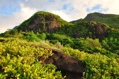 Anse Major trail, randonnée à Mahé