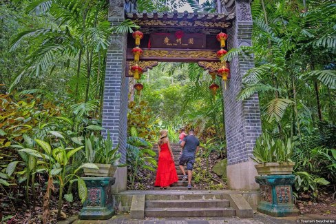 Sentiers de randonnée faciles dans la forêt aux Seychelles