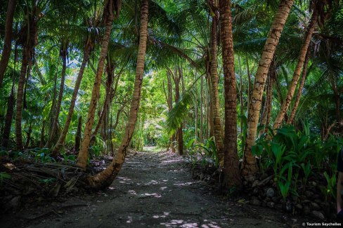 Sentier de la randonnée Grande Barbe sur l'île de Silhouette dans l'archipel des Seychelles