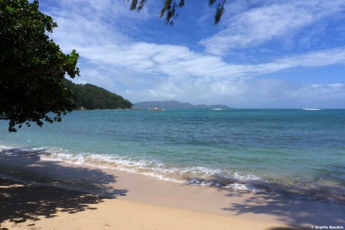 Praslin Anse Lazio