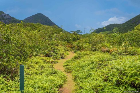Randonner sur les sentiers de l'île de Mahé aux Seychelles