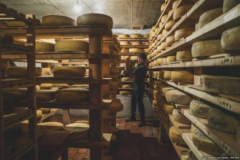 Sélection de fromages du Chef Valter Kramar