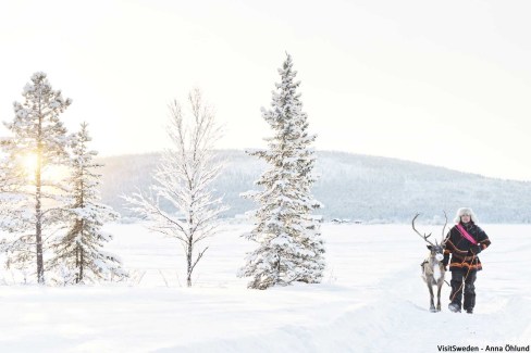 Sami et son renne, laponie suédoise