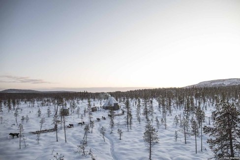 Activité traineau à chiens en Laponie suédoise
