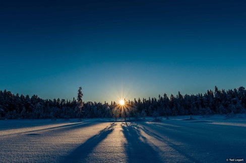 Soleil levant dans l'hiver de la Laponie suédoise
