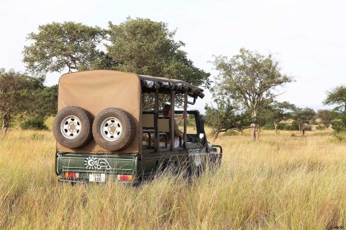 Safari en voiture électrique dans les hautes herbes de la réserve de Grumeti