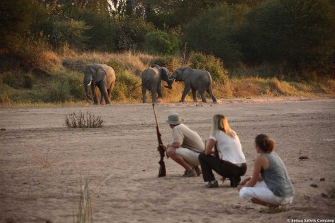 Safari à pied en saison sèche dans le Ruaha