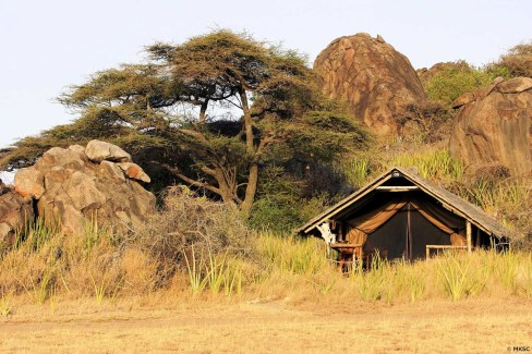 Un camp du Ngorongoro dans les hautes herbes de la saison verte