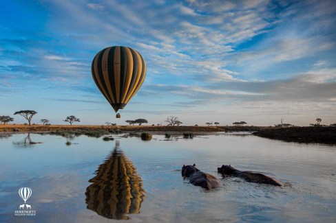 Incomparable safari en ballon dans le Serengeti