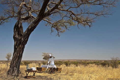 Déjeuner raffiné en pleine brousse pendant un safari de luxe en Tanzanie