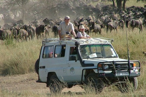 Safari animalier itinérant en Tanzanie