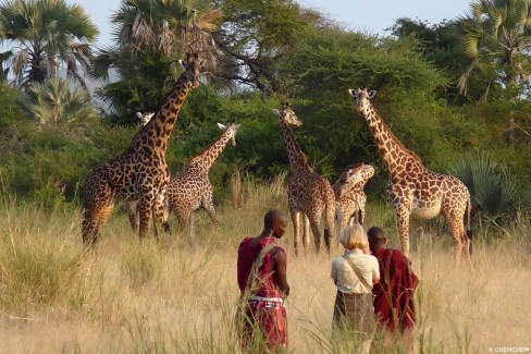 Safari à pied en Tanzanie