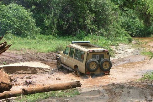 A la recherche de la faune sauvage en safari animalier en Tanzanie