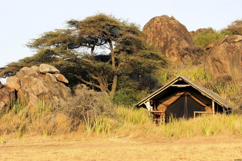 Tente du camp d'Olduvai dans la zone de conservation du Ngorongoro