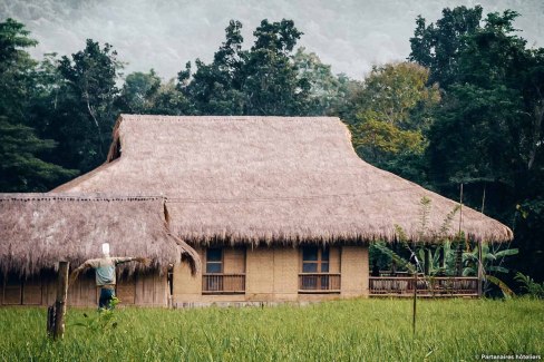 Hébergements dans la campagne thaïlandaise au plus proche des habitants