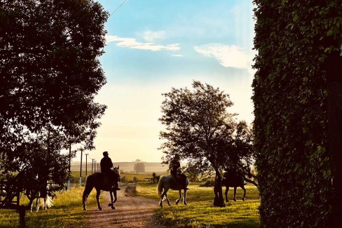 Uruguay-chevaux-dans-une-estancia-no-credit