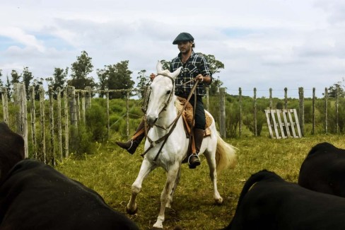 Uruguay-dressage-des-chevaux-en-estancias-no-credit