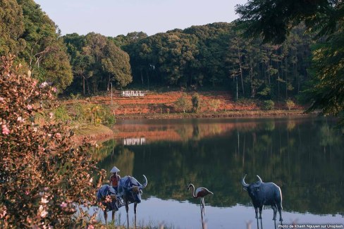 Lac Lak au Vietnam