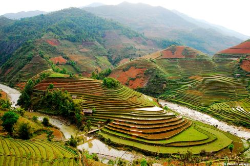 Les rizières en terrasse de la région de Sapa au nord du Vietnam