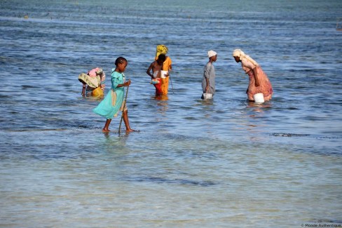 Villageois de Matemwe les pieds dans l'eau à Zanzibar