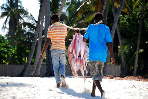 Retour de pêche à Jambiani