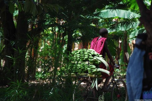 Scène de vie dans un village zanzibarite