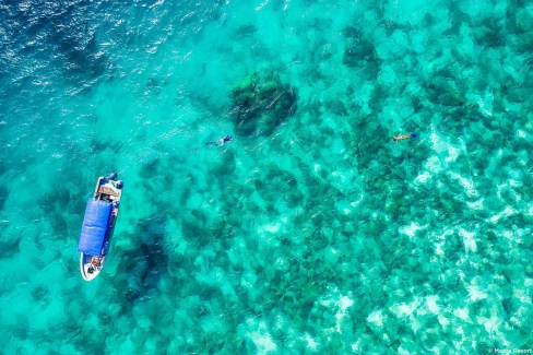 L'île de Pemba abrite une réserve marine protégée, propice à la plongée sous-marine