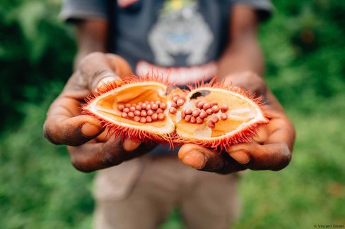 Spice tour à Zanzibar - visite de ferme à épices