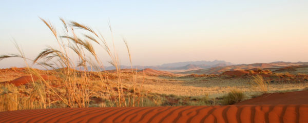 Kalahari et Namib : déserts mythiques de Namibie