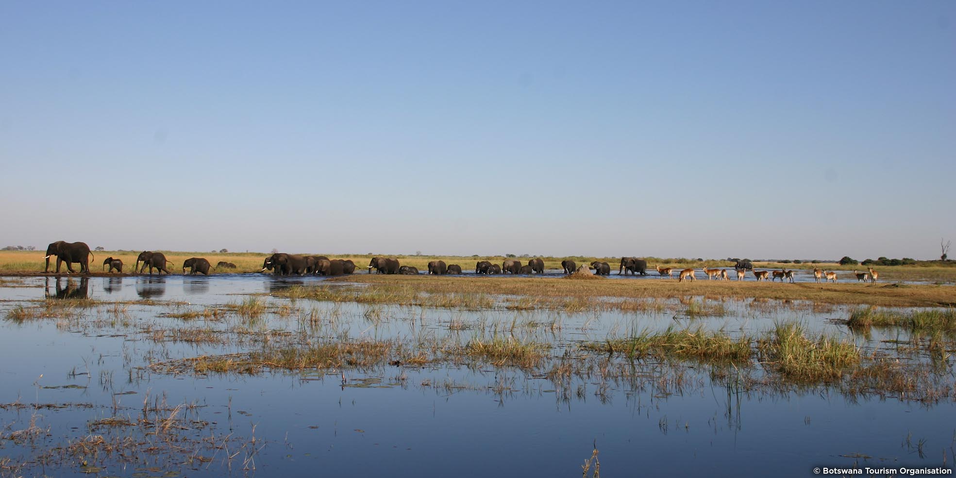 Voyage sur mesure au Botswana