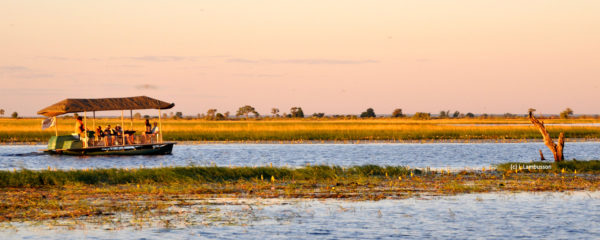 Parc national de Chobe, safari au bord de la rivière au Botswana