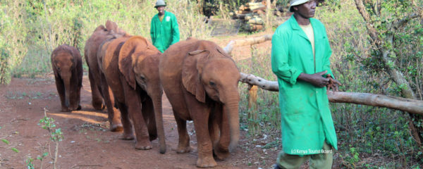 Le Kenya en famille