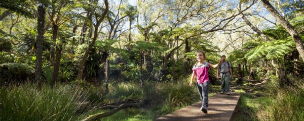 Randonnée pédestre dans la forêt primaire de Bélouve - La Réunion en famille avec Monde Authentique