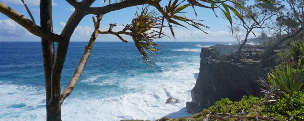Randonnée sur les chemins du littoral du sud sauvage de la Réunion, avec Monde Authentique