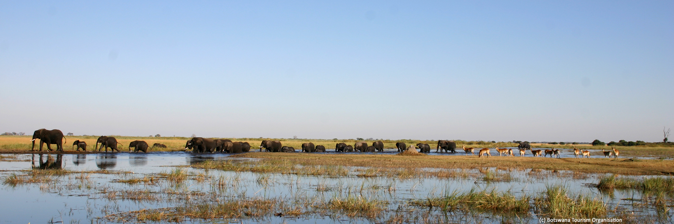 Voyage sur mesure au Botswana