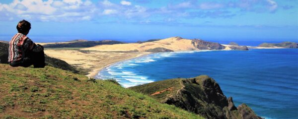 Northland, bienvenue en terre maorie - Nouvelle Zélande